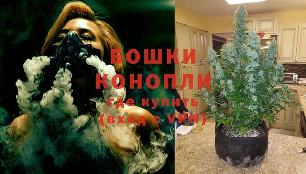 spice Алексин