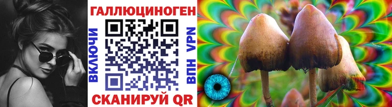 Псилоцибиновые грибы MAGIC MUSHROOMS  blacksprut маркетплейс  Опочка 